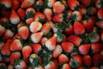 fresh strawberry in fresh market