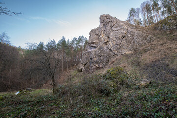 Skała w dolinie Kobylańskiej