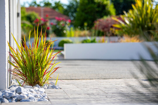 Am&eacute;nagement de jardin paysag&eacute; moderne et plantes d&eacute;coratives agenc&eacute; par un paysagiste.