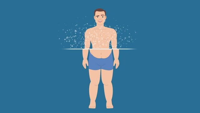 Male Body Transformation From Fat to Slim Animation Process. Man get in shape. Remove Fat From his body like Stomach and Hips and Gain Muscles. 