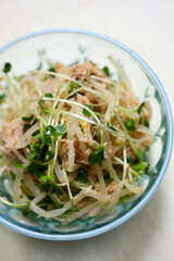 無限かいわれもやし