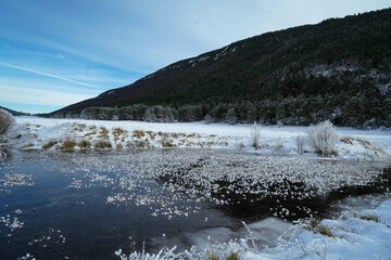  Snowy landscape creating a tranquil and enchanting winter scene           