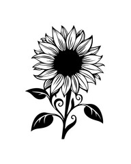 Sunflower Illustration