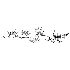 Line art grass
