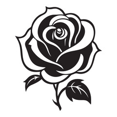 black and white rose