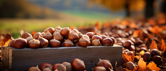 Rustic display of hazelnuts and chestnuts in wooden boxes.