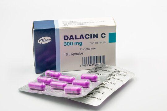 Dalacin C clindamycin capsules box and blister by Pfizer closeup.