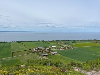 landscape with river