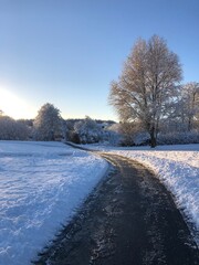 winter road in the forest
