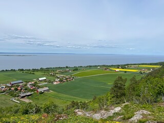 landscape with river