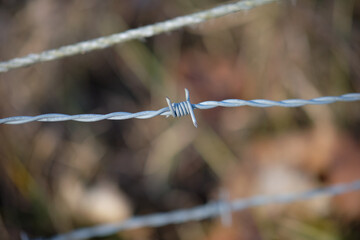 Barbed wire close-up image