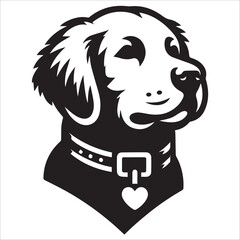 Golden Retriever dog head with collar black and white , dog head 