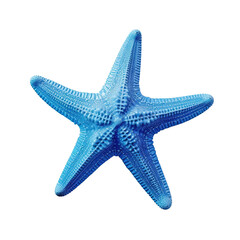 Blue starfish isolated on white background