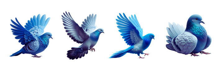 Fototapeta premium Set of Blue dove or pigeon, isolated over on transparent white background.