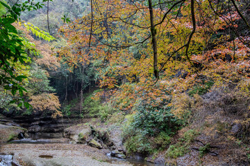 Fototapeta premium Usa Waterfall in Japan