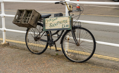 Fototapeta na wymiar Blakeney, Norfolk, UK – December 29 2023. Bicycle advertising Samphire for sale in the coastal village of Blakeney on the North Norfolk coast