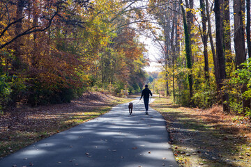 A dog walker on a paved hiking trail in autumn