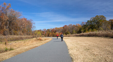 Fototapeta premium A bicyclist and walker on a paved trail in autumn