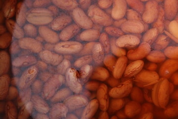 Red Chitra Rajma or kidney beans soaked in distilled water in a metal pan, closeup