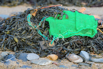 A green bait bag lying tangled in a pile of seaweed on a beach.