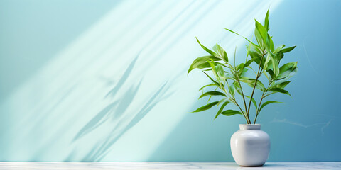 There is a beautiful flower pot with a green plant on a blue background. Copy the space.