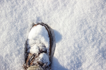 Shoe in the snow