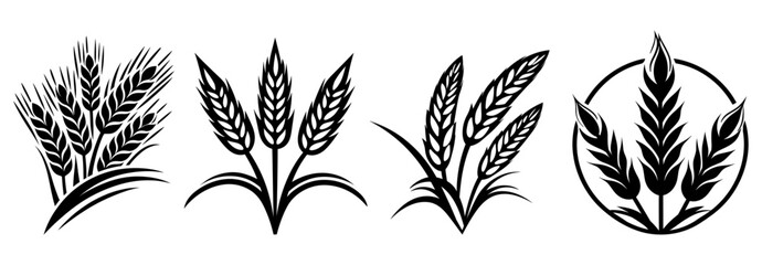 Organic wheat set, bread agriculture and natural eat, harvest symbol, vector illustration. - obrazy, fototapety, plakaty