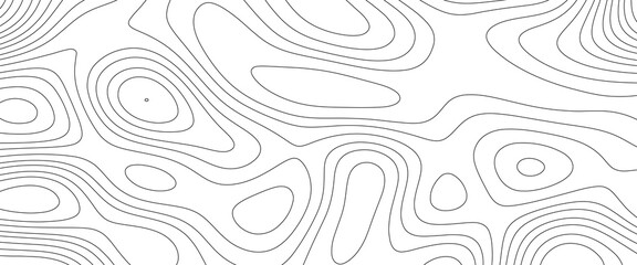 Topographic map background. Panorama view gradient multicolor wave curve lines banner background design. Line topography map design. - obrazy, fototapety, plakaty