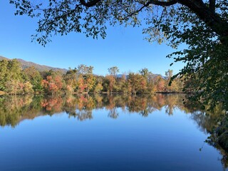 Obraz premium Landscape - autumn trees reflected in lake