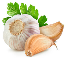Garlic isolated on white background