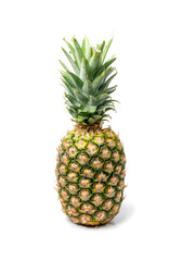 Whole Pineapple Isolated, Whole Ananas, Comosus Tropical Fruit, Ripe Pine Apple on White