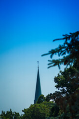 Fototapeta premium church and trees