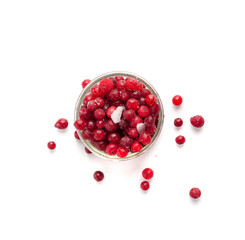 Frozen Lingonberry, Iced Cowberry, Snow Cranberry, Red Viburnum Berries, Frozen Lingonberry