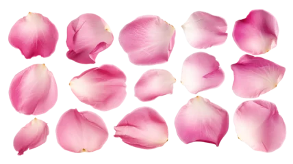 Tuinposter Set of pink rose flowers petals isolated on transparent background. © SRITE KHATUN