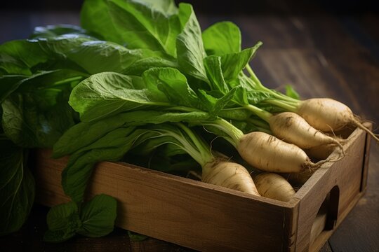 A rustic display of newly harvested Yautia (taro root), placed in an old-fashioned wooden container, complimented by the vibrant greenery around