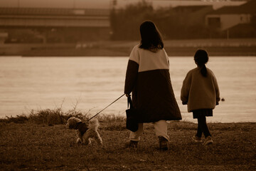 夕暮れ時、犬を連れて散歩する親子。兵庫県西宮市の香櫨園浜で撮影 - obrazy, fototapety, plakaty