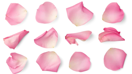 Zelfklevend Fotobehang Set of pink rose flowers petals isolated on transparent background. © MDNANNU