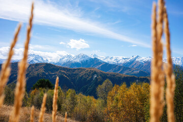 Golden Autumn Grasses Framing the Snow-Capped Mountains in the Distance - obrazy, fototapety, plakaty