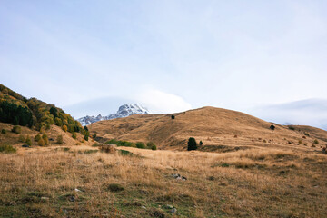 Obraz premium Sweeping Golden Hills Leading to the Majestic Snow-Covered Peaks Beyond