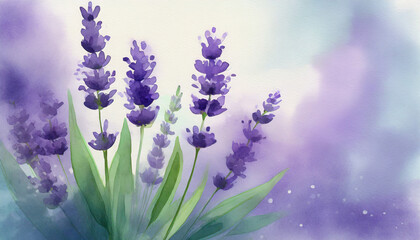 Violet fragrant lavender flowers, copy space, watercolor art style