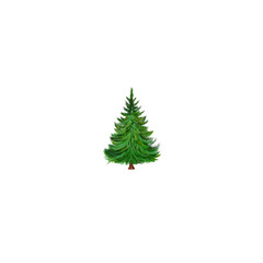 christmas tree isolated on white