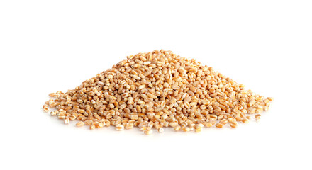 Wheat Grains, Barley Pile, Dry Cereal Seeds, Wheat Grains Heap on White