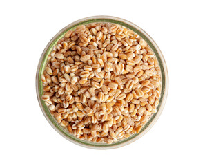 Wheat Grains, Barley Pile, Dry Cereal Seeds, Wheat Grains Heap on White
