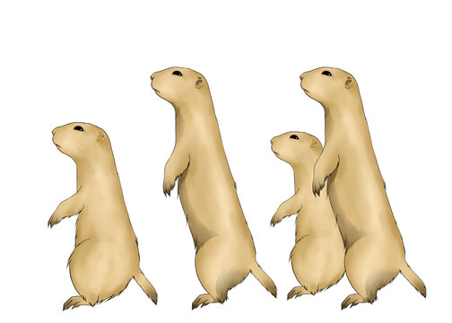 Illustration of prairie dog family on white background 