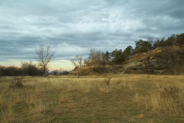 Fototapeta premium Landscape - flat meadow with dry grass and a hill in late autumn