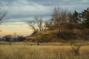Landscape - flat meadow with dry grass and a hill in late autumn
