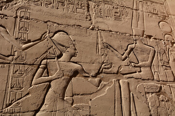 Reliefs und Hieroglyphen im Karnak-Tempel, Luxor, &Auml;gypten