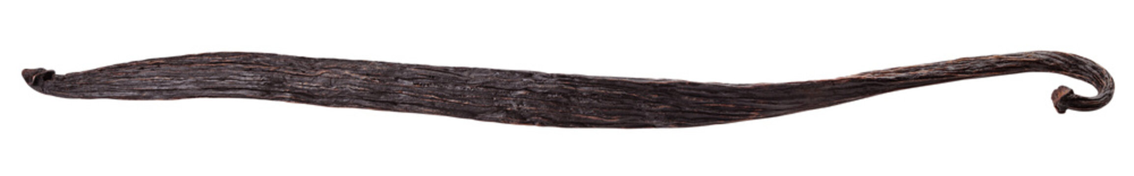 Vanilla bean isolated on white background, clipping path, full depth of field