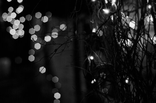 christmas lights on black