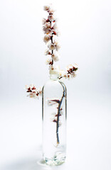 Bottle with clean water and flowers